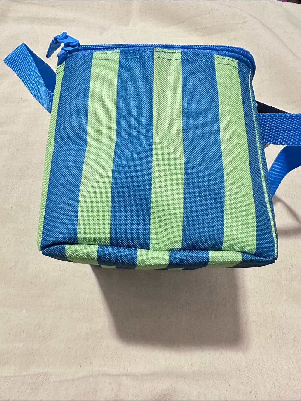 Trader Joe's | Insulated Bag | Striped Insulated Mini Tote | Blue & Green - Picture 6 of 11